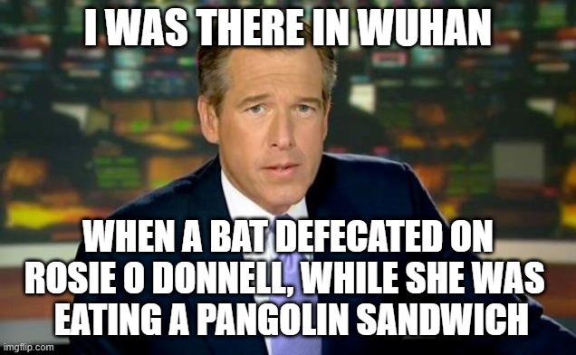 i was there | I WAS THERE IN WUHAN; WHEN A BAT DEFECATED ON ROSIE O DONNELL, WHILE SHE WAS 
 EATING A PANGOLIN SANDWICH | image tagged in memes,brian williams was there | made w/ Imgflip meme maker