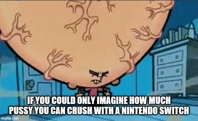 Big Brain timmy | IF YOU COULD ONLY IMAGINE HOW MUCH PUSSY YOU CAN CRUSH WITH A NINTENDO SWITCH | image tagged in big brain timmy | made w/ Imgflip meme maker