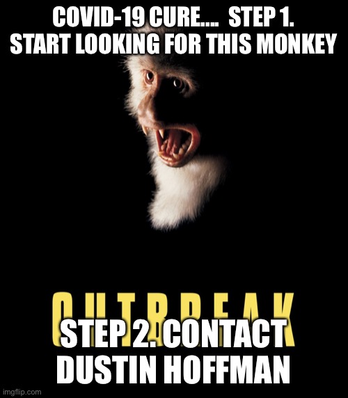 Outbreak | COVID-19 CURE....  STEP 1. START LOOKING FOR THIS MONKEY; STEP 2. CONTACT DUSTIN HOFFMAN | image tagged in outbreak | made w/ Imgflip meme maker