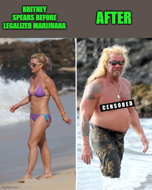 before and after | AFTER; BRITNEY SPEARS BEFORE LEGALIZED MARIJUANA | image tagged in britney spears,dog | made w/ Imgflip meme maker