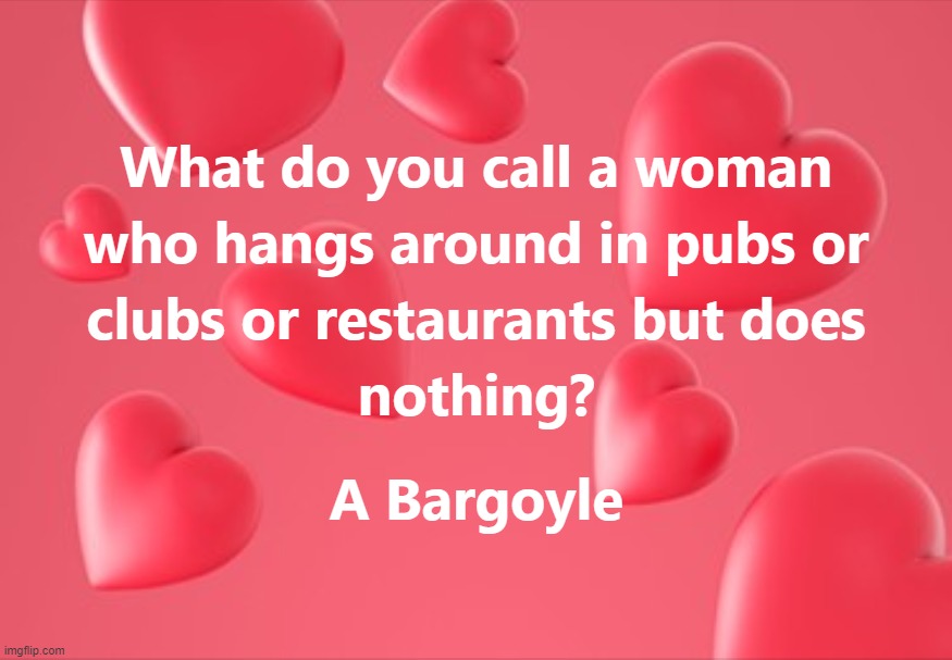 What do you call a woman who hangs around in pubs or clubs or restaurants but does nothing ? A Bargoyle | image tagged in woman,girl,clubs,pubs,restaturants,gargoyle | made w/ Imgflip meme maker