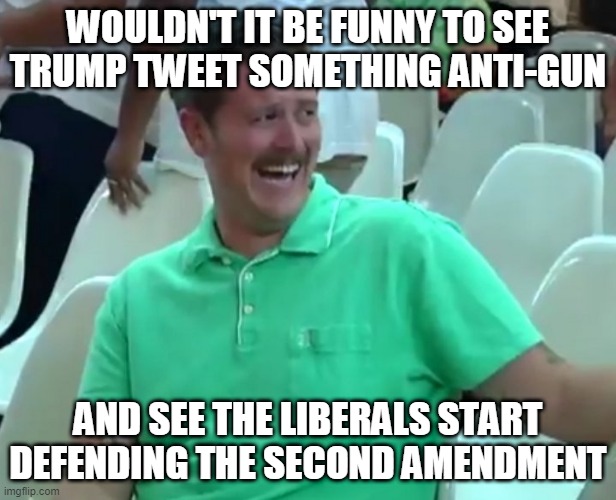 Green Shirt Guy | WOULDN'T IT BE FUNNY TO SEE TRUMP TWEET SOMETHING ANTI-GUN; AND SEE THE LIBERALS START DEFENDING THE SECOND AMENDMENT | image tagged in green shirt guy,liberal logic,republican,second amendment,funny,memes | made w/ Imgflip meme maker
