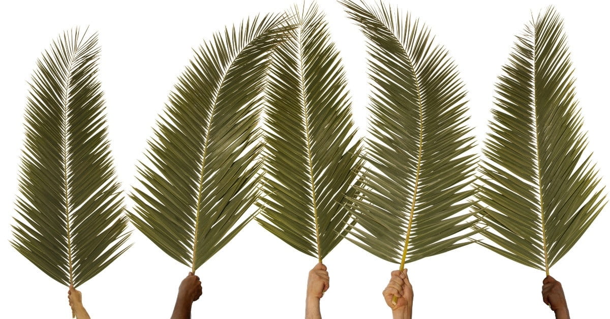 High Quality Palm Sunday Covid 19 Blank Meme Template