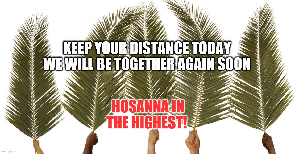 Palm Sunday Covid 19 | KEEP YOUR DISTANCE TODAY
WE WILL BE TOGETHER AGAIN SOON; HOSANNA IN THE HIGHEST! | image tagged in palm sunday covid 19 | made w/ Imgflip meme maker