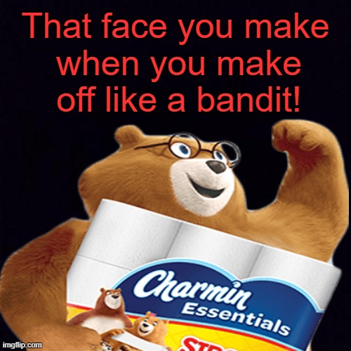 True Story | That face you make; when you make off like a bandit! | image tagged in memes,covid-19,coronavirus,charmin,toilet paper | made w/ Imgflip meme maker
