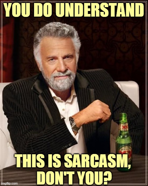 The Most Interesting Man In The World Meme | YOU DO UNDERSTAND THIS IS SARCASM, 
DON'T YOU? | image tagged in memes,the most interesting man in the world | made w/ Imgflip meme maker