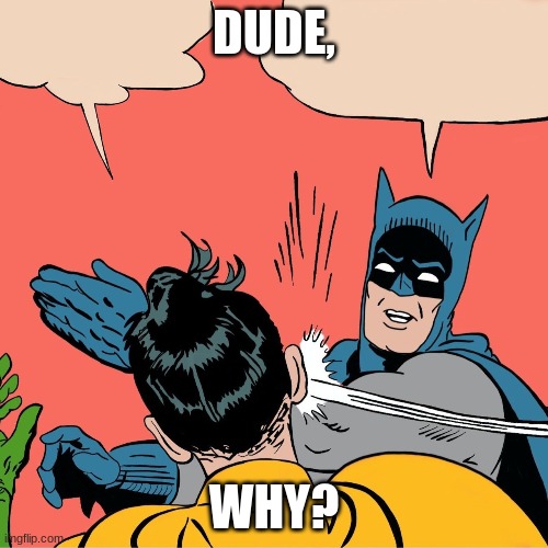 Batman Robin | DUDE, WHY? | image tagged in batman robin | made w/ Imgflip meme maker