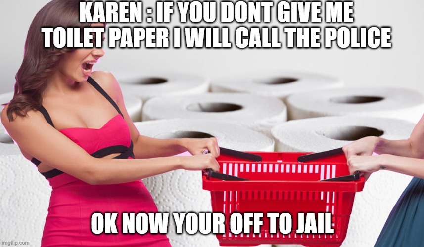 Toilet paper fight | KAREN : IF YOU DONT GIVE ME TOILET PAPER I WILL CALL THE POLICE; OK NOW YOUR OFF TO JAIL | image tagged in toilet paper fight | made w/ Imgflip meme maker