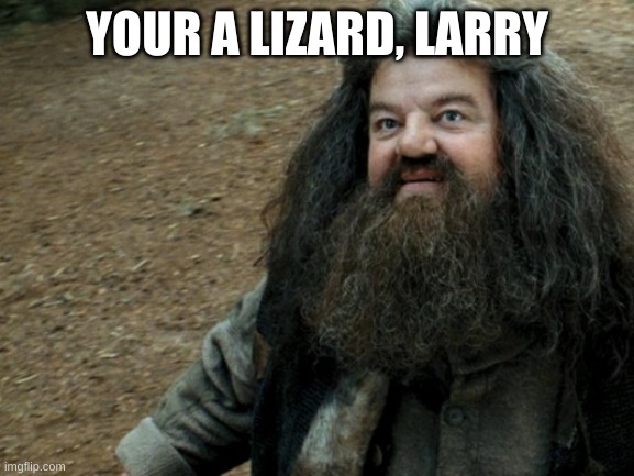 Your a wizard Harry  | YOUR A LIZARD, LARRY | image tagged in your a wizard harry | made w/ Imgflip meme maker