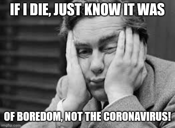 Boredom | IF I DIE, JUST KNOW IT WAS; OF BOREDOM, NOT THE CORONAVIRUS! | image tagged in boredom | made w/ Imgflip meme maker