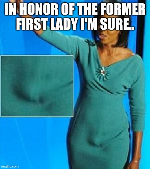 Michelle Obama Has a Penis | IN HONOR OF THE FORMER FIRST LADY I'M SURE.. | image tagged in michelle obama has a penis | made w/ Imgflip meme maker