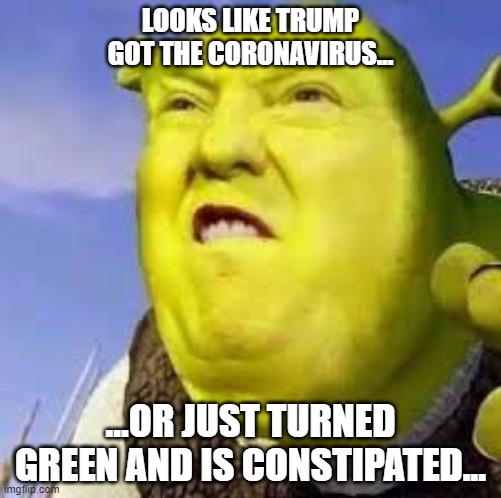 Trump Shrek | LOOKS LIKE TRUMP GOT THE CORONAVIRUS... ...OR JUST TURNED GREEN AND IS CONSTIPATED... | image tagged in trump,shrek | made w/ Imgflip meme maker