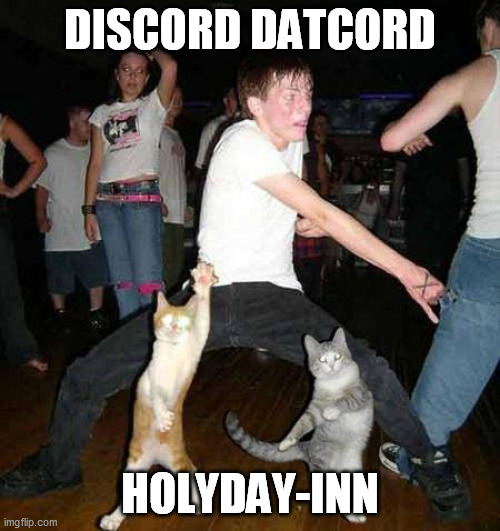 Cats Dancing | DISCORD DATCORD; HOLYDAY-INN | image tagged in cats dancing | made w/ Imgflip meme maker