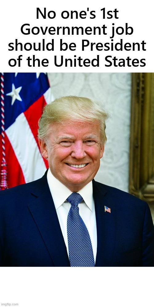 First Government Job Should Not Be President Of U.S. | image tagged in first government job should not be president of us | made w/ Imgflip meme maker