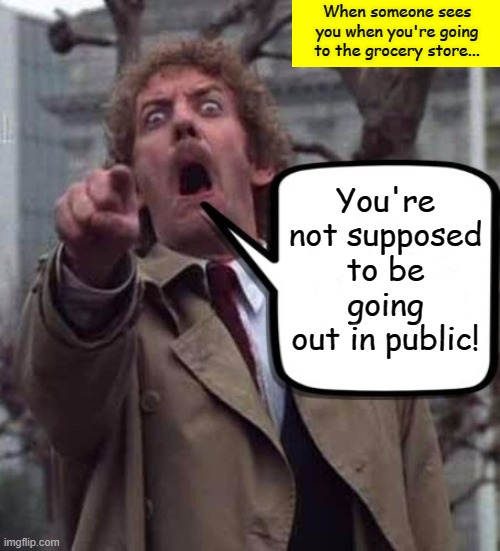 Invasion of The Body Snatchers Donald Sutherland  | When someone sees you when you're going to the grocery store... You're not supposed to be going out in public! | image tagged in invasion of the body snatchers donald sutherland,memes,quarantine,corona virus,covid-19 | made w/ Imgflip meme maker