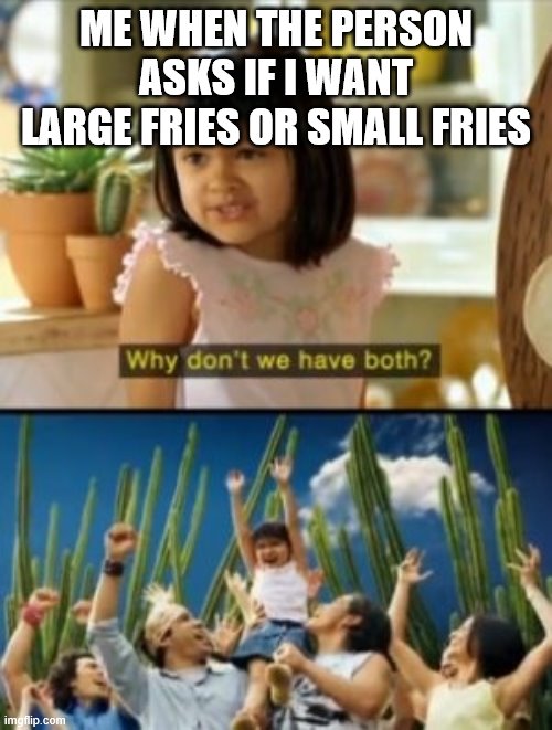 Why Not Both Meme | ME WHEN THE PERSON ASKS IF I WANT LARGE FRIES OR SMALL FRIES | image tagged in memes,why not both | made w/ Imgflip meme maker