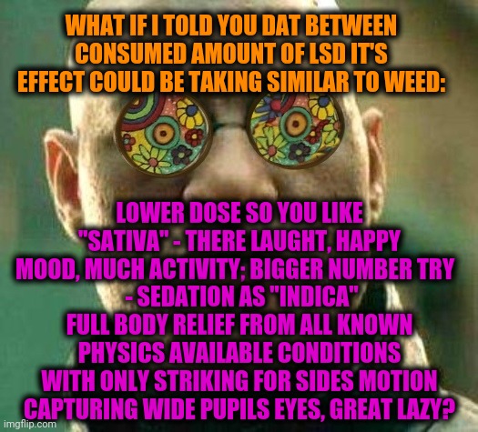 -What if I know the "kitchen's" mechanism? | WHAT IF I TOLD YOU DAT BETWEEN CONSUMED AMOUNT OF LSD IT'S EFFECT COULD BE TAKING SIMILAR TO WEED:; LOWER DOSE SO YOU LIKE "SATIVA" - THERE LAUGHT, HAPPY MOOD, MUCH ACTIVITY; BIGGER NUMBER TRY  
 - SEDATION AS "INDICA" FULL BODY RELIEF FROM ALL KNOWN PHYSICS AVAILABLE CONDITIONS WITH ONLY STRIKING FOR SIDES MOTION CAPTURING WIDE PUPILS EYES, GREAT LAZY? | image tagged in acid,matrix morpheus,what if i told you,one does not simply do drugs,smoke weed everyday,totally looks like | made w/ Imgflip meme maker