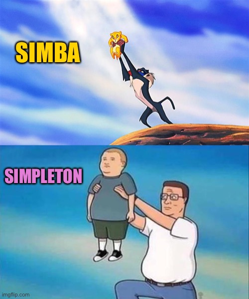 Dang it Bobby! | SIMBA; SIMPLETON | image tagged in lion king rafiki simba,remake,memes,funny,king of the hill | made w/ Imgflip meme maker