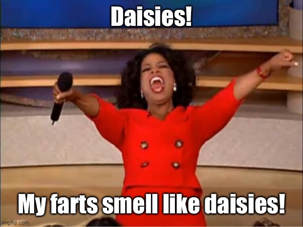 Oprah You Get A Meme | Daisies! My farts smell like daisies! | image tagged in memes,oprah you get a | made w/ Imgflip meme maker