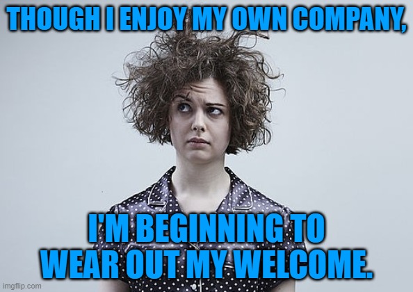THOUGH I ENJOY MY OWN COMPANY, I'M BEGINNING TO WEAR OUT MY WELCOME. | image tagged in quarantine | made w/ Imgflip meme maker