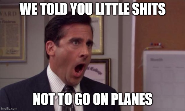 noooooo | WE TOLD YOU LITTLE SHITS NOT TO GO ON PLANES | image tagged in noooooo | made w/ Imgflip meme maker