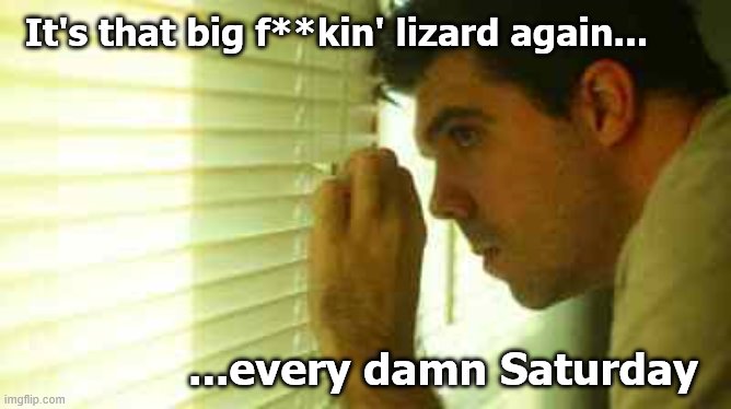 Paranoid guy  | It's that big f**kin' lizard again... ...every damn Saturday | image tagged in paranoid guy | made w/ Imgflip meme maker