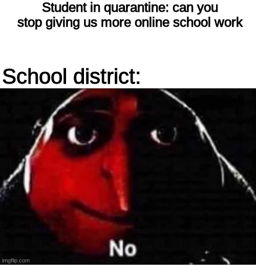 Gru No | Student in quarantine: can you stop giving us more online school work; School district: | image tagged in gru no,coronavirus,school,memes,quarantine | made w/ Imgflip meme maker