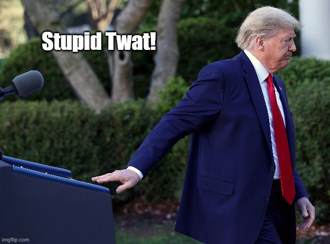 "Stupid Twat" | Stupid Twat! | image tagged in trump,deplorable donald,despicable donald,dishonest donald,devious donald,mafia don | made w/ Imgflip meme maker