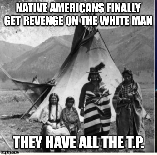 Where has all the T.P. Gone? | NATIVE AMERICANS FINALLY GET REVENGE ON THE WHITE MAN; THEY HAVE ALL THE T.P. | image tagged in funny | made w/ Imgflip meme maker