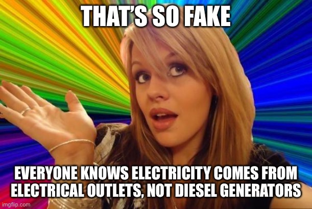 Dumb Blonde Meme | THAT’S SO FAKE EVERYONE KNOWS ELECTRICITY COMES FROM ELECTRICAL OUTLETS, NOT DIESEL GENERATORS | image tagged in memes,dumb blonde | made w/ Imgflip meme maker