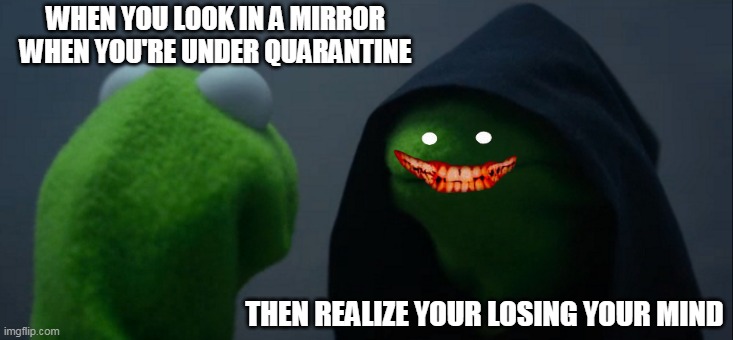 Evil Kermit Meme | WHEN YOU LOOK IN A MIRROR WHEN YOU'RE UNDER QUARANTINE; THEN REALIZE YOUR LOSING YOUR MIND | image tagged in memes,evil kermit | made w/ Imgflip meme maker