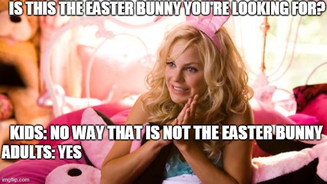 Is this the Easter Bunny You're Looking for? |  IS THIS THE EASTER BUNNY YOU'RE LOOKING FOR? KIDS: NO WAY THAT IS NOT THE EASTER BUNNY; ADULTS: YES | image tagged in memes,house bunny,cute,easter | made w/ Imgflip meme maker