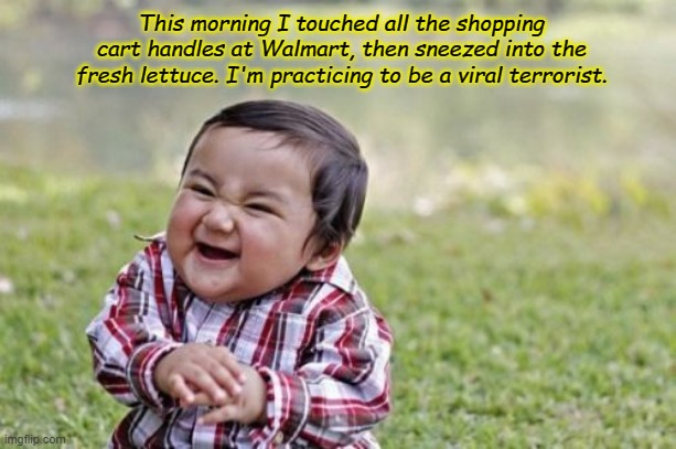 Evil Toddler Meme | This morning I touched all the shopping cart handles at Walmart, then sneezed into the fresh lettuce. I'm practicing to be a viral terrorist. | image tagged in memes,evil toddler | made w/ Imgflip meme maker