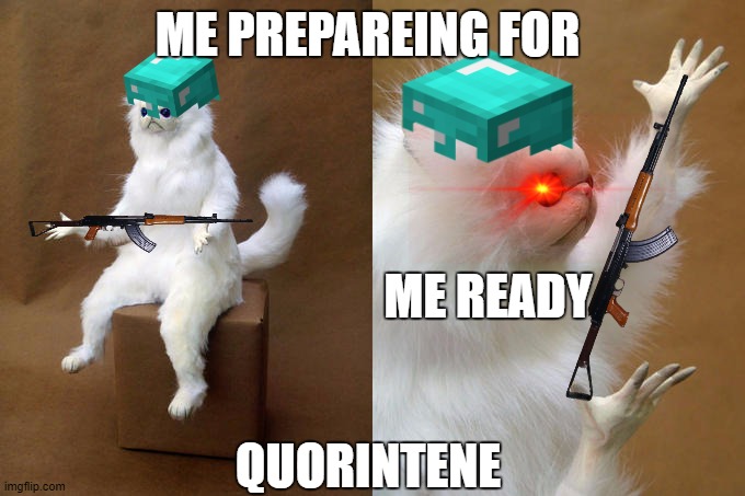 Persian Cat Room Guardian Meme | ME PREPAREING FOR; ME READY; QUORINTENE | image tagged in memes,persian cat room guardian | made w/ Imgflip meme maker