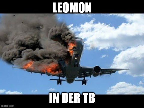 plane crash | LEOMON IN DER TB | image tagged in plane crash | made w/ Imgflip meme maker