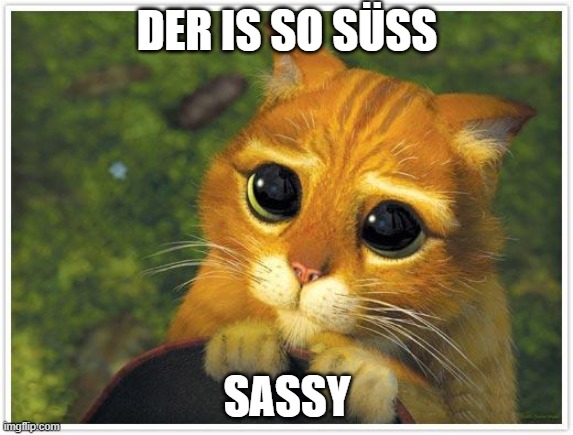 Shrek Cat Meme | DER IS SO SÜSS SASSY | image tagged in memes,shrek cat | made w/ Imgflip meme maker