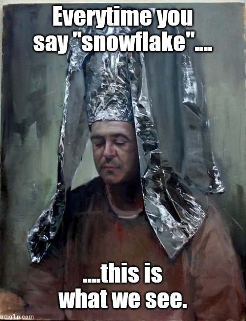 Everytime you say "snowflake".... ....this is what we see. | image tagged in snowflake | made w/ Imgflip meme maker