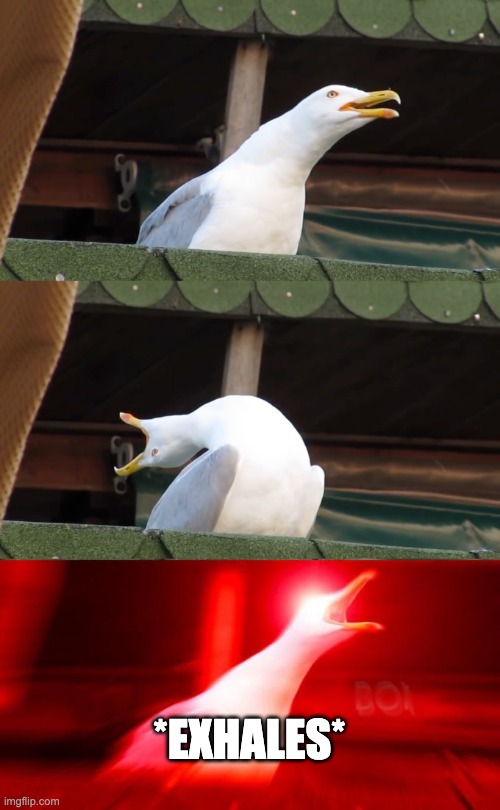 Inhaling seagull | *EXHALES* | image tagged in inhaling seagull | made w/ Imgflip meme maker