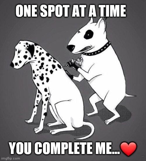 Dalmation Tattoo | ONE SPOT AT A TIME; YOU COMPLETE ME...❤ | image tagged in dalmation tattoo | made w/ Imgflip meme maker