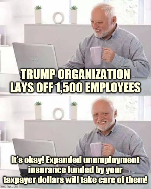 Donald Trump, savvy business owner that he is, is downsizing and socializing these losses. | TRUMP ORGANIZATION LAYS OFF 1,500 EMPLOYEES; It's okay! Expanded unemployment insurance funded by your taxpayer dollars will take care of them! | image tagged in hide the pain harold,unemployment,unemployed,business,trump is an asshole,covid-19 | made w/ Imgflip meme maker