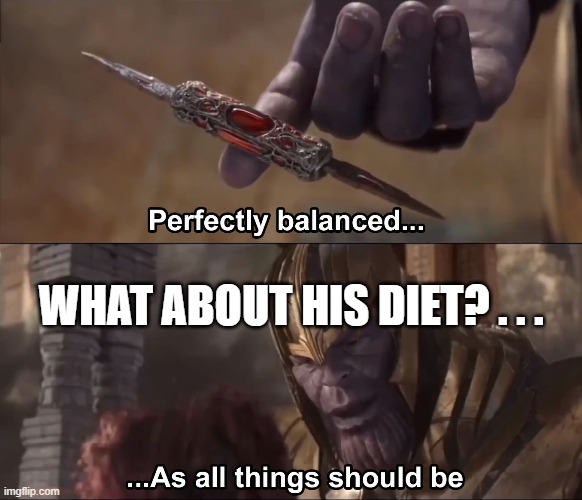 Thanos perfectly balanced as all things should be | WHAT ABOUT HIS DIET? . . . | image tagged in thanos perfectly balanced as all things should be | made w/ Imgflip meme maker
