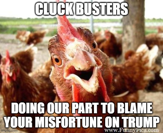 Cluck Busters | CLUCK BUSTERS; DOING OUR PART TO BLAME YOUR MISFORTUNE ON TRUMP | image tagged in chicken | made w/ Imgflip meme maker