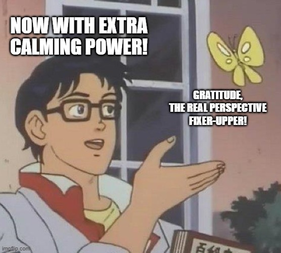 Is This A Pigeon | NOW WITH EXTRA CALMING POWER! GRATITUDE, THE REAL PERSPECTIVE FIXER-UPPER! | image tagged in memes,is this a pigeon | made w/ Imgflip meme maker