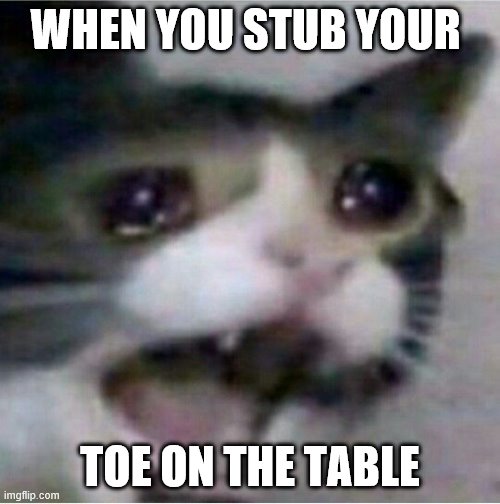 crying cat | WHEN YOU STUB YOUR; TOE ON THE TABLE | image tagged in crying cat | made w/ Imgflip meme maker