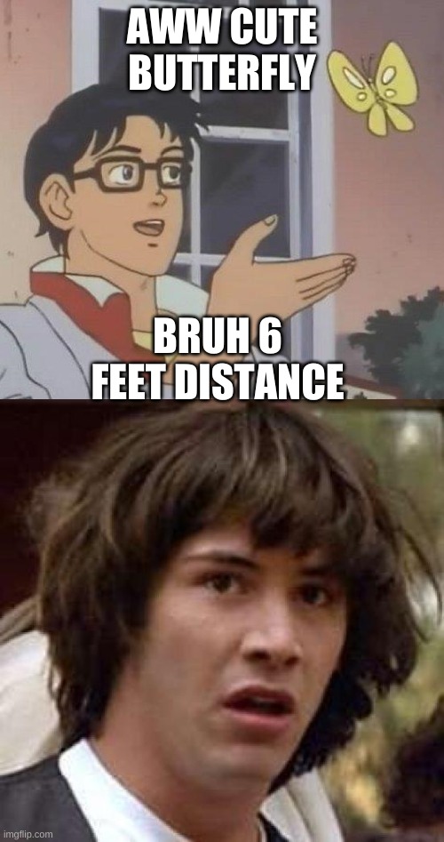 AWW CUTE BUTTERFLY; BRUH 6 FEET DISTANCE | image tagged in memes,conspiracy keanu,is this a pigeon | made w/ Imgflip meme maker