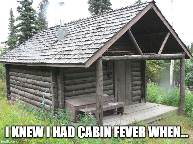 I KNEW I HAD CABIN FEVER WHEN... | image tagged in coronavirus | made w/ Imgflip meme maker