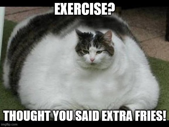 Fat Cat | EXERCISE? THOUGHT YOU SAID EXTRA FRIES! | image tagged in fat cat | made w/ Imgflip meme maker