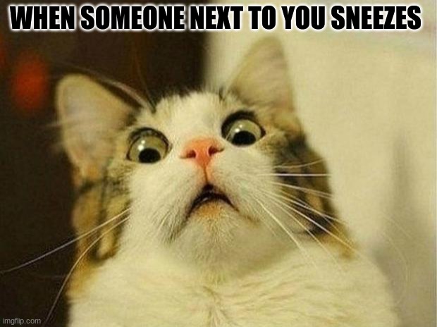 Scared Cat Meme | WHEN SOMEONE NEXT TO YOU SNEEZES | image tagged in memes,scared cat | made w/ Imgflip meme maker