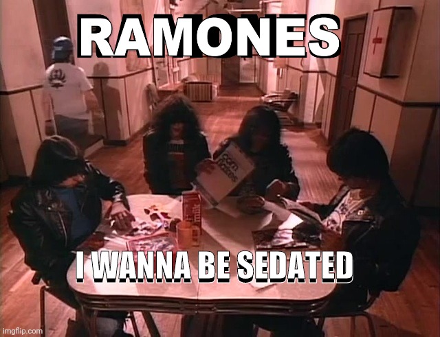 Ramones I wanna be sedated | I WANNA BE SEDATED; I WANNA BE SEDATED | image tagged in ramones,classic rock,punk rock,rock and roll,the rock,music | made w/ Imgflip meme maker