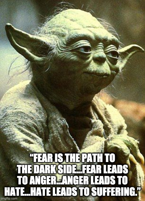 Yoda | “FEAR IS THE PATH TO THE DARK SIDE…FEAR LEADS TO ANGER…ANGER LEADS TO HATE…HATE LEADS TO SUFFERING.” | image tagged in fearfromyoda | made w/ Imgflip meme maker